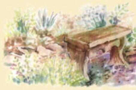 Watercolour illustration of a seat in the museum garden.